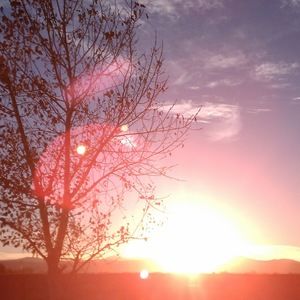 Meet your Posher, Trevor